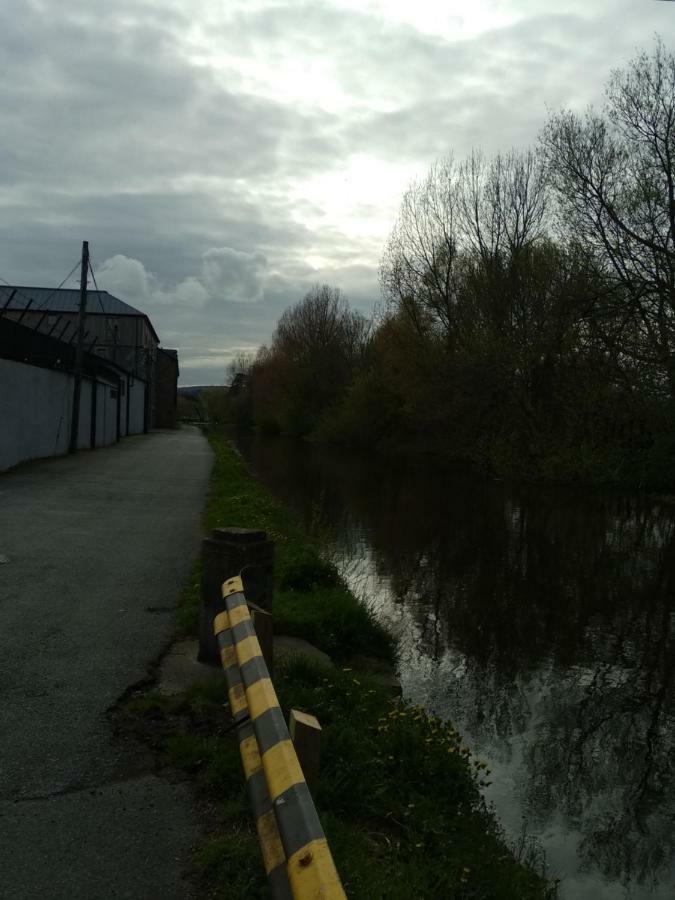 Townhouse 2 Barrow Lane Villa Carlow Exteriör bild